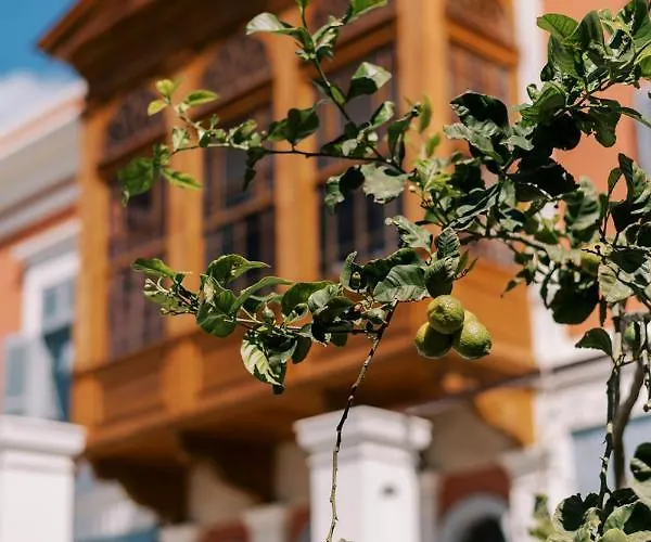 Saray Monumental Luxury Medieval Town, Rhodes